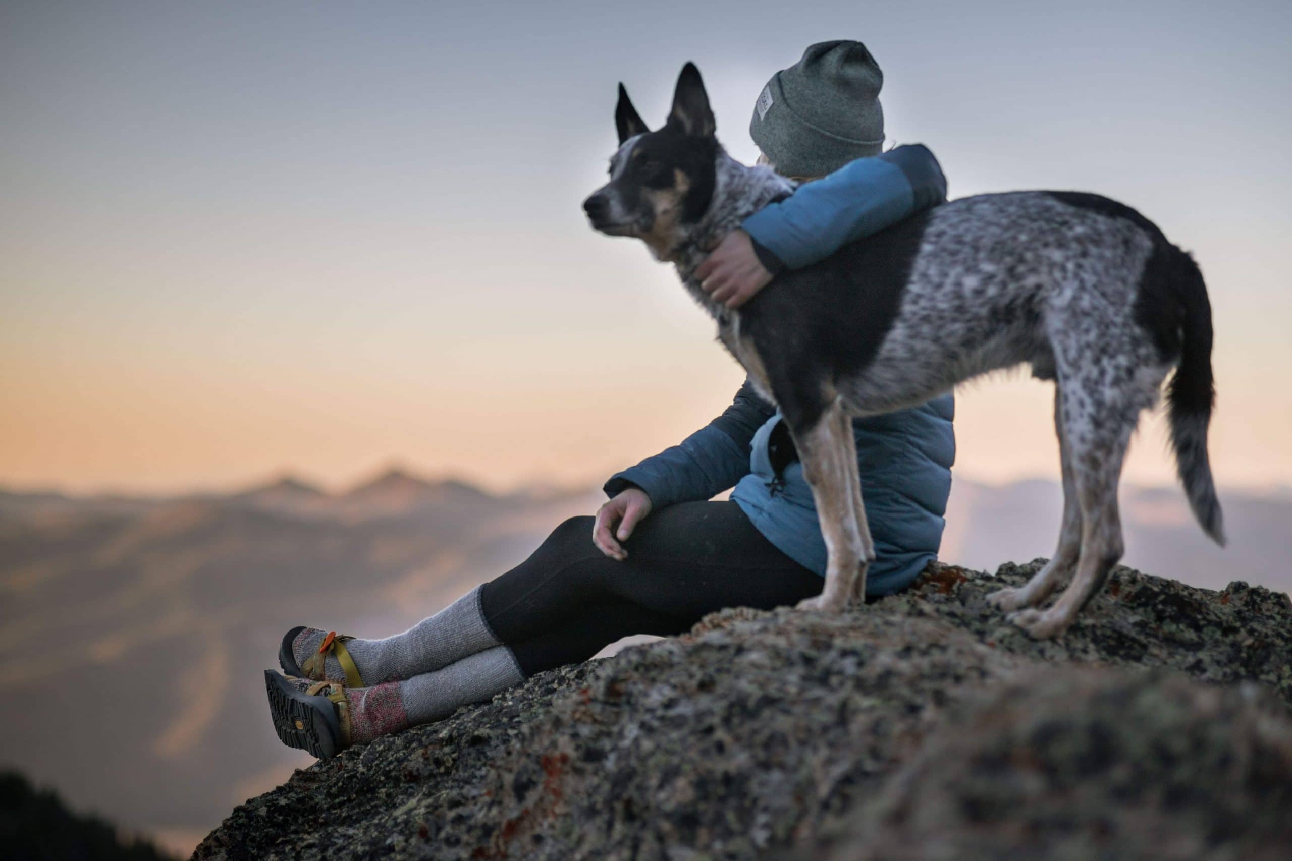 Människa och hund på berg