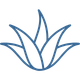 Aloe vera-ikon som symboliserar växtbaserad ingrediens