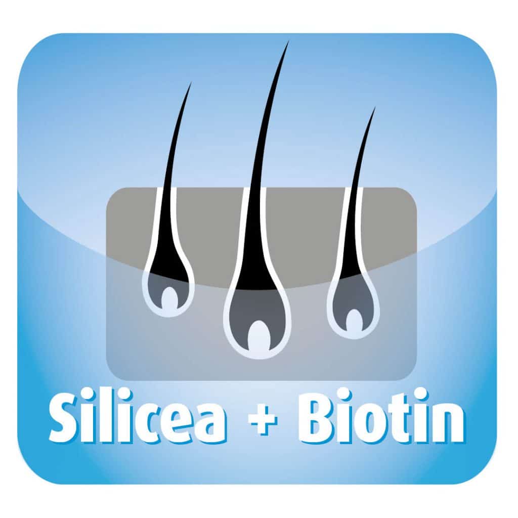 silicea + biotin tjockt vackert hår